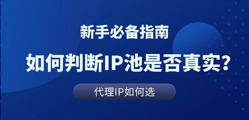 代理IP池解析与真实测评 科技推广和应用服务的核心工具